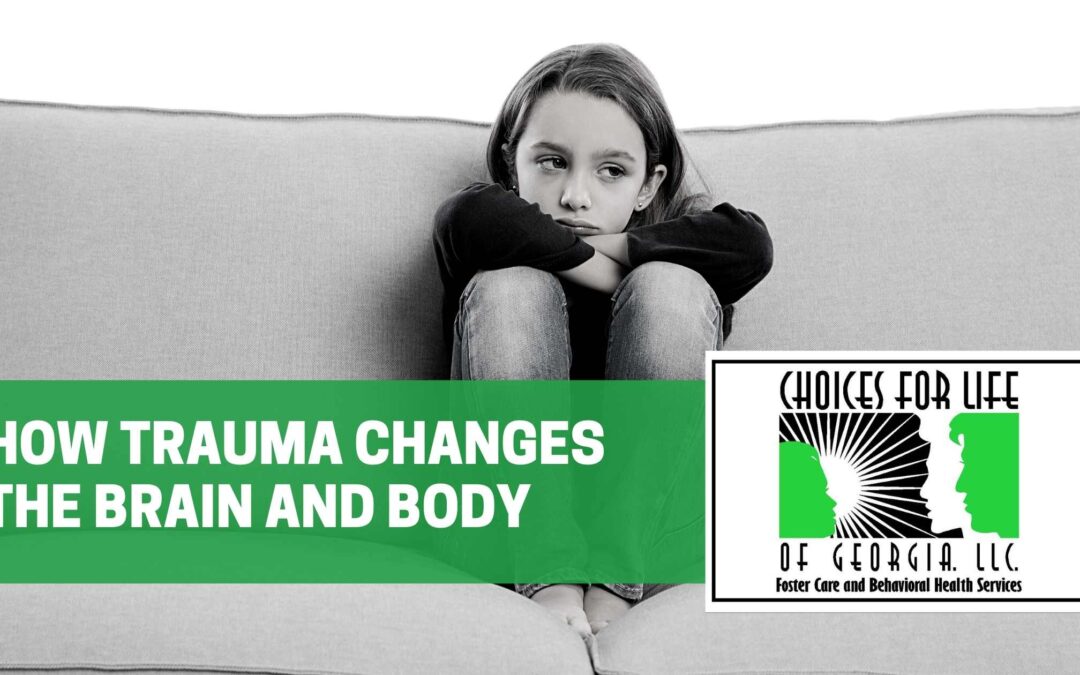 How Trauma Changes the Brain and Body