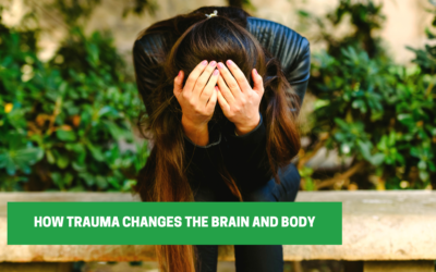 How Trauma Changes the Brain and Body